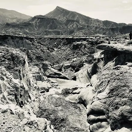Πανσιόν Avenida Tabernas